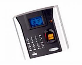пA4